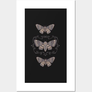 Copy of Death's Head Moth Taxidermy Posters and Art